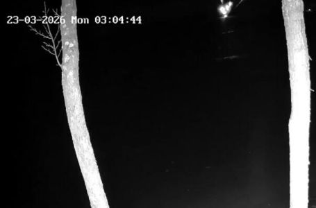 U Litvaniji se srušio dron, premijerka: Došao je iz Ukrajine