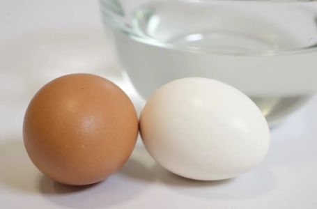 Najbrži način da izbijelite jaja: U vodu dodajte samo 1 sastojak