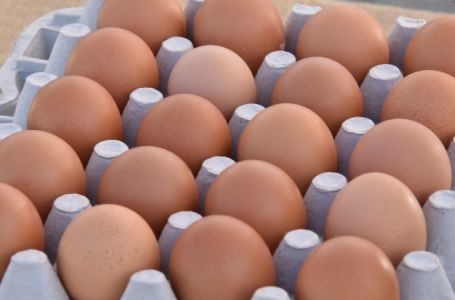 BiH izvozi sve više jaja: Evo gdje ih najviše prodaje