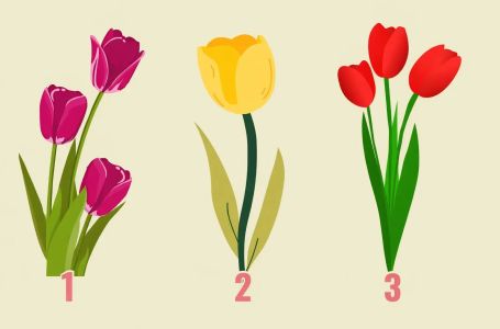 Izaberite lalu, a mi ćemo vam reći kakvi ste zapravo