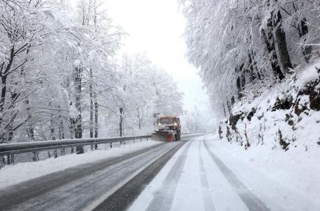 U Zagrebu crveni alarm na snazi: Vjetar lomi stabla (VIDEO)