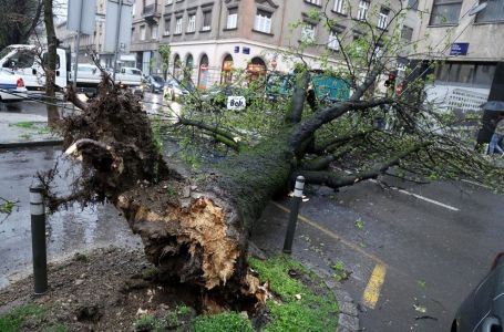 U Zagrebu crveni alarm na snazi: Vjetar lomi stabla (VIDEO)