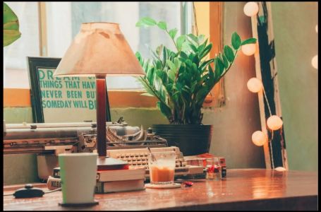 Zamija se ne stavlja bilo gdje: Vjeruje se da samo jedno mjesto u domu privlači sreću i bogatstvo