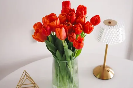 Sutra je posljednji dan marta: Izbacite ove 3 stvari iz kuće prije ponoći da privučete novac...