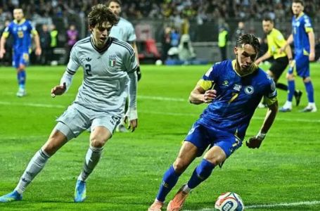 Bravo Barbarez, bravo momci: Bosna i Hercegovina je na Svjetskom prvenstvu