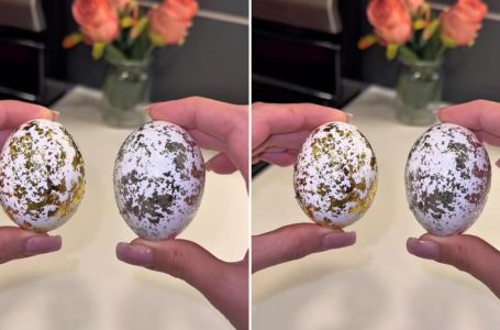 Milioni oduševljeni trikom: 1 sastojak iz hladnjaka pretvara obična jaja u luksuzna remek-djela