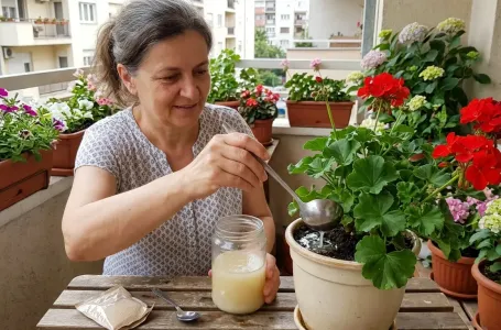 Zalijte biljke ovim rastvorom od samo 2 sastojka, bujaće i cvjetati kao lude