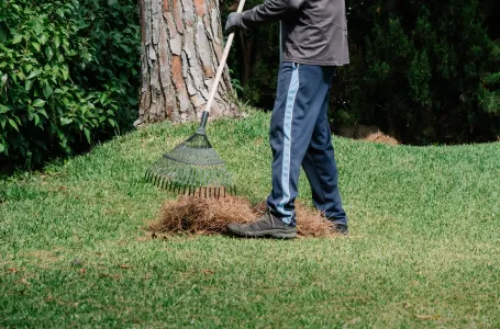 Ne zaboravi ovo uraditi u aprilu: Travnjak će dobiti lijepu, zelenu boju