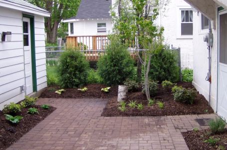 Zaboravite čupanje korova: Pospite ovo iz kuhinje i nestaje skoro odmah