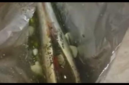 Upozorenje za potrošače, provjerite svoje frižidere! U skuši pronađena opasna supstanca, bacite je