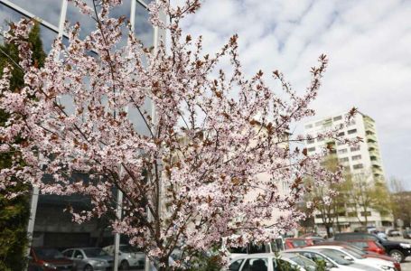 Stiže promjena vremena u BiH: Evo šta možemo očekivati do četvrtka