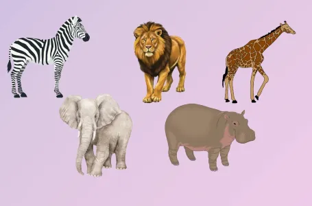 Psihotest: Na slici je 5 divljih životinja, izaberite jednu: Odgovor pokazuje tvoju divlju stranu