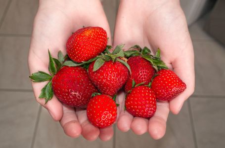 Da li pogrešno perete jagode? Evo kako treba