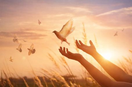 Godinama su patili, sada dolazi nagrada: Ova 4 znaka više ništa ne može zaustaviti!