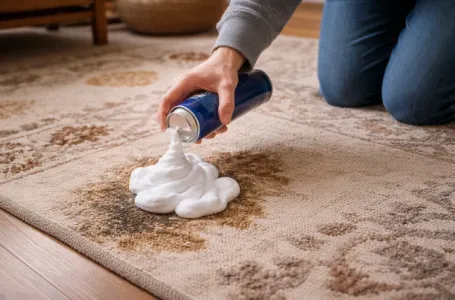 Sipajte pjenu za brijanje na tepih i otvorite prozor: Bićete vječno zahvalni kad vidite šta slijedi