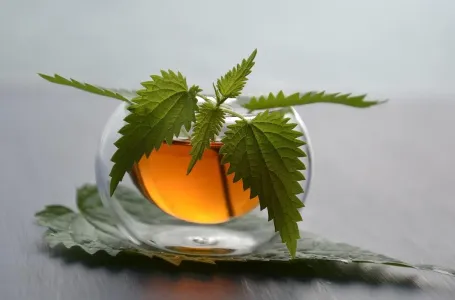 Prije 6. maja obavezno unesite ovu biljku u kuću: Tjera baksuz i privlači novac