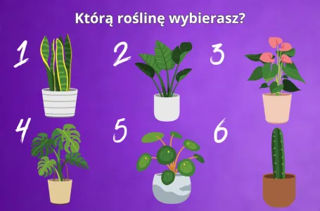 Test: Izaberite samo jednu biljku koju biste stavili u stan? Evo šta to govori o vama