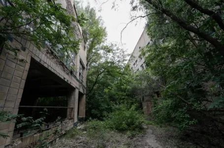 U Černobilu se dešava nešto nevjerovatno! Ovo niko nije mogao ni da sanja!