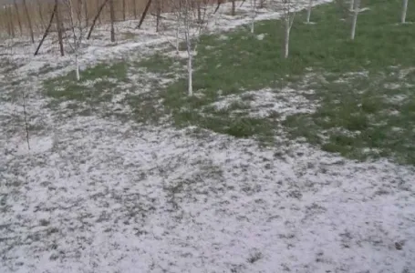 Grad veličine oraha obrušio se na ovaj dio Srbije: Mještani u nevjerici, padavine uništile voćnjake