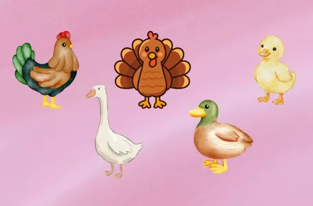 Izaberi životinju i otkrij kakva si osoba: Evo šta tvoj izbor govori o tvojoj ličnosti!