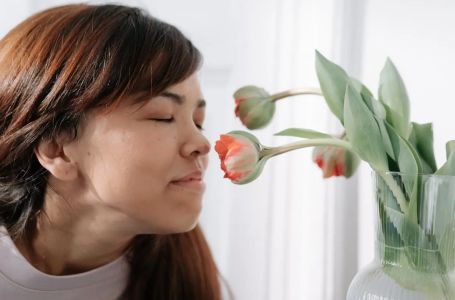 Stan uvijek miriše kao nov: 3 jednostavna prirodna trika koja rade bolje od skupih osvježivača