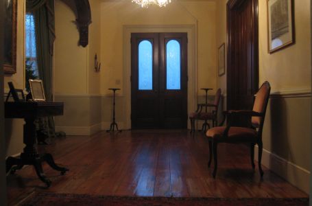 Ako vidite ovo stvorenje ispred ulaza kuće, stižu velike pare: Ni slučajno ga nemojte tjerati