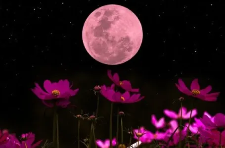 Mjesečni horoskop za maj: Pun Mjesec u Škorpiji mijenja sudbinu 4 znaka