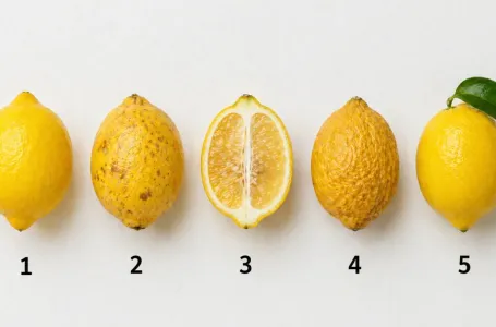 Ne razmišljajte puno: Izaberite jedan limun i saznajte šta vam zagorčava život