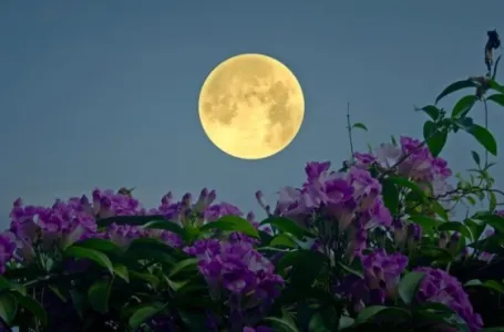 Stiže cvijetni pun Mjesec u Škorpiji: 1. maj je ključan - 4 znaka mijenjaju svoj život