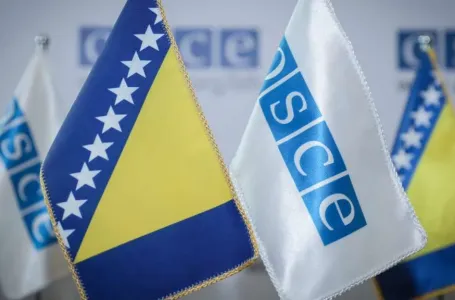 Misija OSCE-a u BiH: Femicid ostaje vrlo ozbiljna i stalna prijetnja u Bosni i Hercegovini