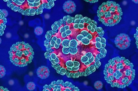 Hantavirus: Što uzrokuje i koji su simptomi opasne infekcije koja se širi nizozemskim kruzerom?
