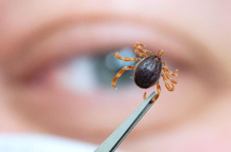 Muškarac iz Hrvatske pet godina živio u agoniji, doktori nisu znali šta mu je: 'Nije sličio sebi...'
