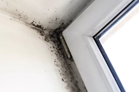 Finci za 5 minuta rješavaju problem vlage i buđi u kući: Tvrde da je bolje od bilo kakve hemije