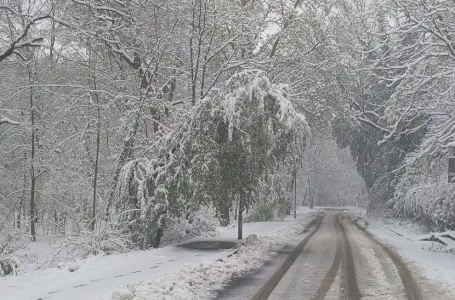Snijeg ne posustaje! Zatrpao i ovo mjesto u Srbiji, ne vidi se ništa od sniježnog prekrivača (VIDEO)