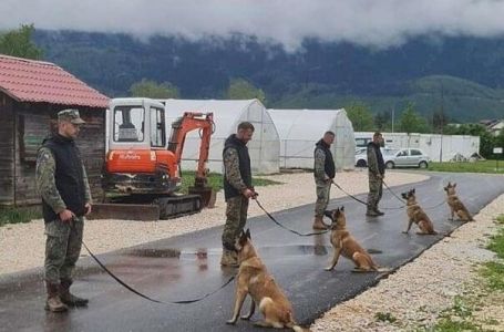 Norveška narodna pomoć donirala nove deminerske pse za MO BiH