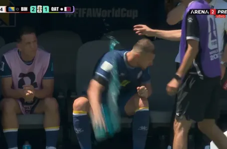 Haos na bh. klupi: Edin Džeko van sebe zbog izmjene, bacao flašu, a onda je prišao Barbarez...