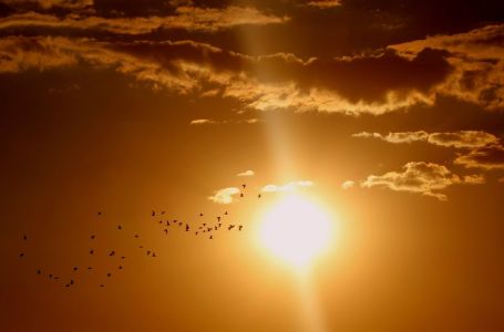 Vatrogasci u Njemačkoj spašavali ljude iz potkrovlja s tjelesnom temperaturom preko 42°C