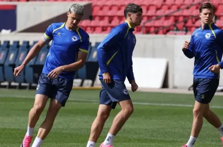 FIFA odlučila: Barbarez saznao može li računati na Muharemovića protiv SAD-a