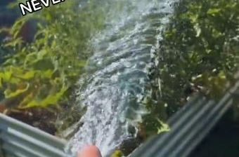 Ne zalivajte biljke u bašti ovako: Evo kako je pravilno - bit će ljepše i bujnije