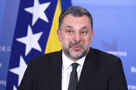 Iz NiP-a najavili apelaciju Ustavnom sudu: Ljiljani su simbol državnosti BiH i zaštitit ćemo ih