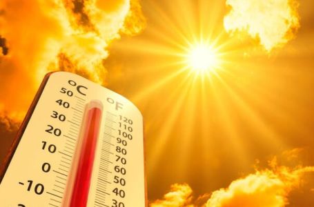 Toplotni val prošle sedmice ubio 480 ljudi u Nizozemskoj