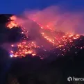 Požar zahvatio minsko polje u Mostaru, odjekuju detonacije! Buktinja se bliži kućama, strašne scene
