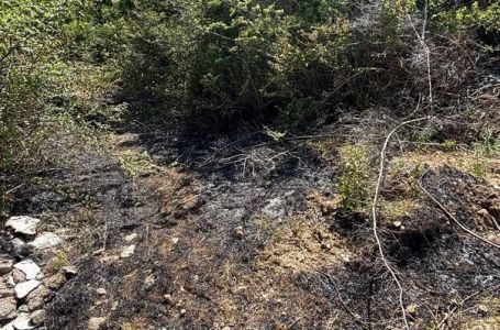 Vatrogasci u HNK imaju pune ruke posla, i dalje gori u kanjonu Rakitnice i na Rujištu