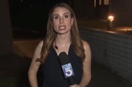 Žohar sletio na vrat novinarke usred javljanja uživo: Njena reakcija je hit (VIDEO)