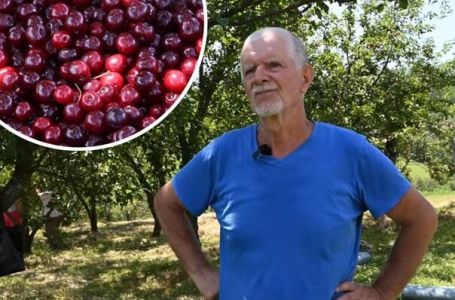 Voćar ostao u čudu nakon neobičnog zahtjeva: Tražio višnje, ali...