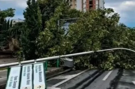 Snažno nevrijeme pogodilo komšiluk, ima povrijeđenih: Vjetar je nosio sve pred sobom, HAOS (VIDEO)
