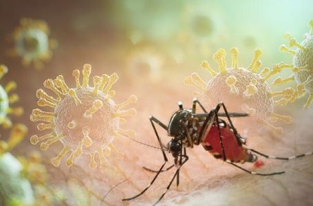 Pazite na komarce! Virus se širi Evropom, BiH mora u pripravnost