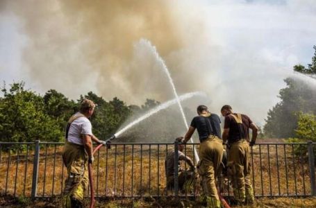 Veliki požar hara Nizozemskom: Vatra progutala 100 hektara, evakuisan kamp