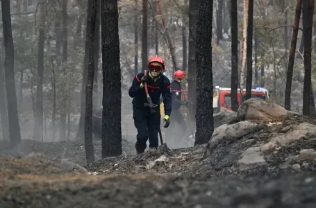 Požar u francuskom selu otkrio 400 granata iz Drugog svjetskog rata