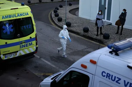 Hantavirus se vratio u Evropu, struka najavila hitan sastanak